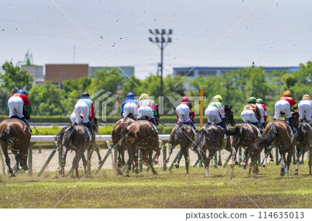 Scenery of a horse racing track: Horses running in a straight line, Niigata City, Niigata Prefecture 114635013