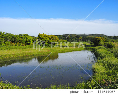 三船山風景(君津市) 三船山風景(君津市) 114635067