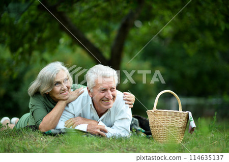 Portrait of beautiful old couple in summer park 114635137