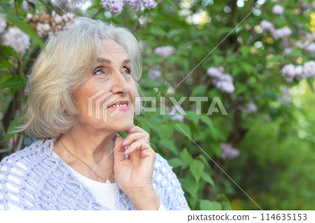 Portrait of a beautiful woman in the park in summer Portrait of a beautiful woman in the park in summer 114635153