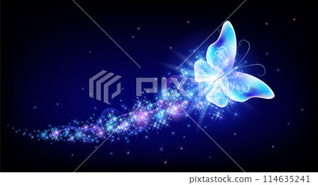 Flying butterfly with sparkle and blazing trail flying in night sky among shiny glowing stars in cosmic space. Animal protection day concept. Flying butterfly with sparkle and blazing trail flying in night sky among shiny glowing stars in cosmic space. Animal protection day concept. 114635241