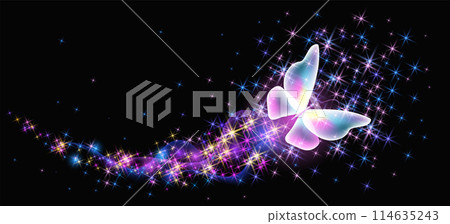 Flying butterfly with sparkle and blazing trail flying in night sky among shiny glowing stars in cosmic space. Animal protection day concept. Flying butterfly with sparkle and blazing trail flying in night sky among shiny glowing stars in cosmic space. Animal protection day concept. 114635243
