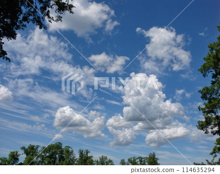 A blue sky with white clouds and trees in the foreground. 114635294