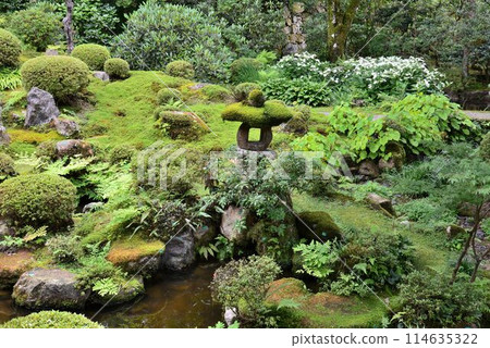 洛北：初夏苔蘚覆蓋的大原三千院 114635322