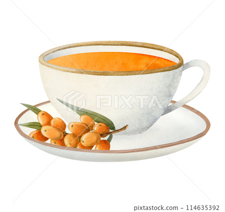 Watercolor sea buckthorn herbal tea in white cup with saucer illustration with orange berries for cafe menus and healthy recipes with natural drinks 114635392