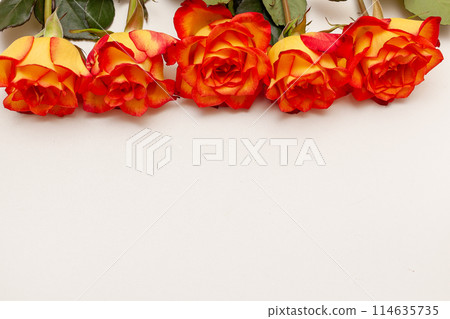 Light pink and peach flowers in vase with greenery. Light pink and peach flowers in vase with greenery. 114635735