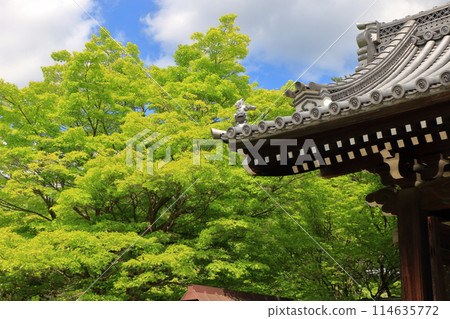 Myomanji Temple in northeastern Kyoto Japan, a Nichiren Buddhist temple which has views of Mt. Hiei and a large Stupa with a statue of Buddha within. 114635772