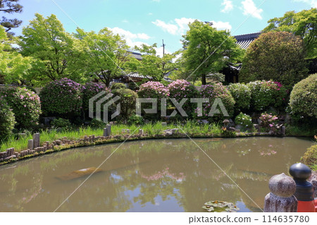 Myomanji Temple in northeastern Kyoto Japan, a Nichiren Buddhist temple which has views of Mt. Hiei and a large Stupa with a statue of Buddha within. 114635780