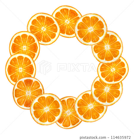 Citrus, orange slice wreath in watercolor isolated on white background. High quality hand drawn art for essential oils, food design, packages, menus, natural organic food logo and Christmas decor 114635972