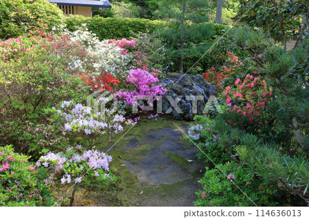 Entsuji Temple of Rinzai Zen Buddhism in northern Kyoto with its Shakkei garden and a beautiful view of mt. Hiei, in Kyoto Japan Entsuji Temple of Rinzai Zen Buddhism in northern Kyoto with its Shakkei garden and a beautiful view of mt. Hiei, in Kyoto Japan 114636013