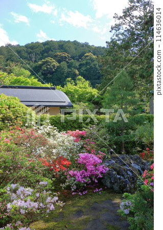Entsuji Temple of Rinzai Zen Buddhism in northern Kyoto with its Shakkei garden and a beautiful view of mt. Hiei, in Kyoto Japan Entsuji Temple of Rinzai Zen Buddhism in northern Kyoto with its Shakkei garden and a beautiful view of mt. Hiei, in Kyoto Japan 114636014