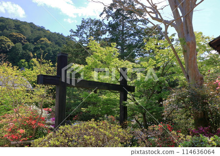 Entsuji Temple of Rinzai Zen Buddhism in northern Kyoto with its Shakkei garden and a beautiful view of mt. Hiei, in Kyoto Japan Entsuji Temple of Rinzai Zen Buddhism in northern Kyoto with its Shakkei garden and a beautiful view of mt. Hiei, in Kyoto Japan 114636064