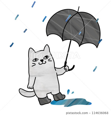 拿著雨傘的貓插畫 拿著雨傘的貓插畫 114636068