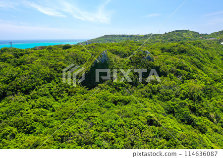 Okinawa's power spot: Sefa Utaki Forest 114636087