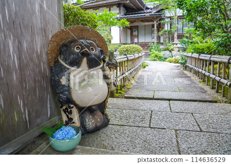 寺廟門口供奉著貉的雕像。添加繡球花。 “岡山縣真庭市普門寺花之山寺” 寺廟門口供奉著貉的雕像。添加繡球花。 “岡山縣真庭市普門寺花之山寺” 114636529