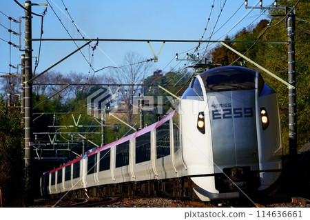 新E259系列成田特快：連接城市和機場的特急 114636661
