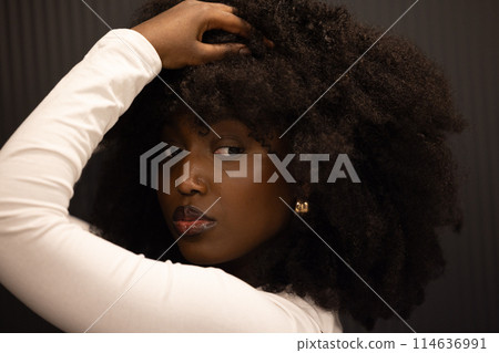 Woman in white shirt and earrings with large afro hairstyle at event 114636991