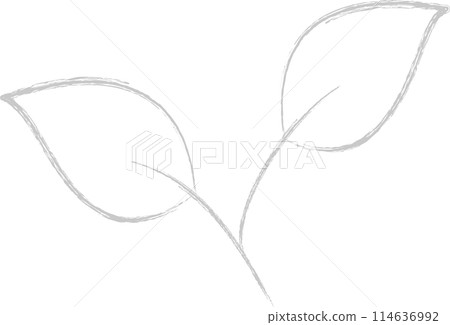 灰色蓋葉 114636992