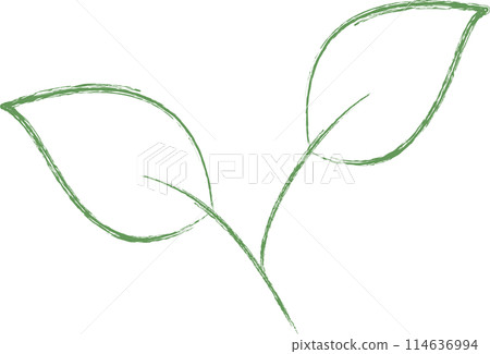 Lid foliage 114636994