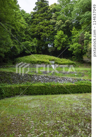鳥取縣府町梶山古墳春天的風景 鳥取縣府町梶山古墳春天的風景 114637049