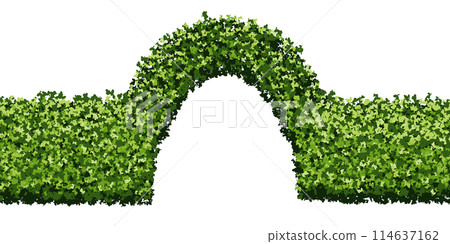 Green hedge with arch gate of boxwood bushes in the form of a seamless endless pattern 114637162