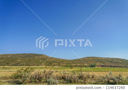 Scenery near Mekele 114637260