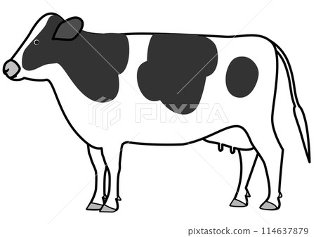 Illustration of a dairy cow seen from the side 114637879