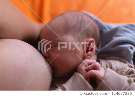 Peaceful happy mom breastfeeding baby at home. Young new mother holding and feeding newborn child milk from breast. 114637880