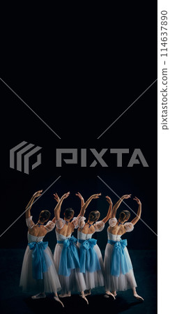 Poster. Rear view photo of four ballerinas, dressed in white tutus with blue sashes, perform in seamless coordination. Copy space Poster. Rear view photo of four ballerinas, dressed in white tutus with blue sashes, perform in seamless coordination. Copy space 114637890