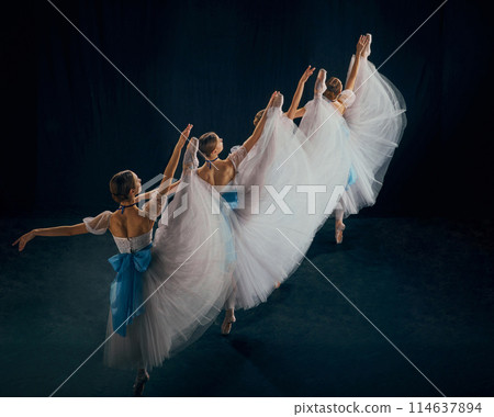 Harmony and beauty. Four ballerinas perform synchronized dance, their movements perfectly aligned. Harmony and beauty. Four ballerinas perform synchronized dance, their movements perfectly aligned. 114637894