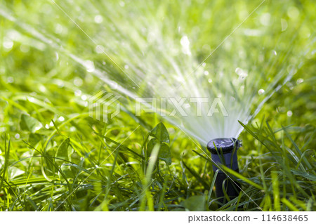 Lawn water sprinkler spraying water over grass in garden on a hot summer day. Automatic watering lawns. Gardening and environment concept. Lawn water sprinkler spraying water over grass in garden on a hot summer day. Automatic watering lawns. Gardening and environment concept. 114638465