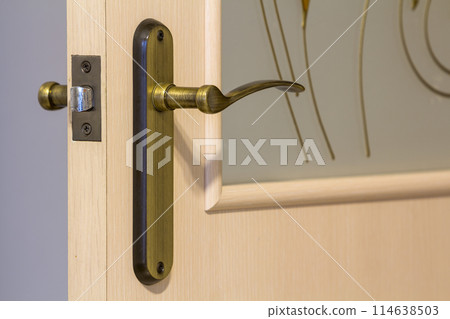 Modern, contemporary satin wooden door metal handle close-up detail 114638503