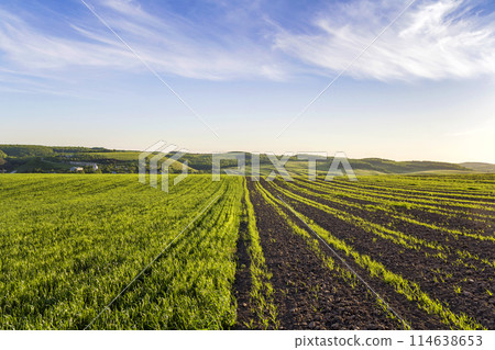 Beautiful wide peaceful panorama of plowed and green fields lit by morning sun stretching to horizon under bright blue sky on distant hills and village background. Agriculture and farming concept. 114638653