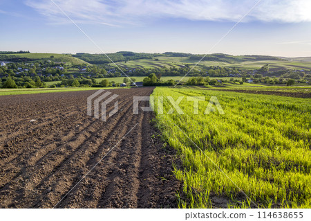 Beautiful peaceful spring wide panorama of plowed and green fields lit by morning sun stretching to horizon under clear sky on distant hills and village background. Agriculture and farming concept. 114638655