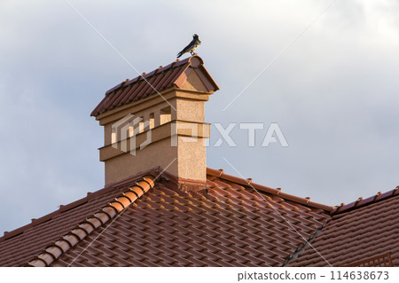 Close-up view of bird sitting on top of high plastered chimney of new big spacious modern house with shingled red roof against bright blue sky background. Professionally done construction concept. 114638673