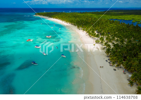 Tropical Caribbean beach from above, Dominican Republic 114638708
