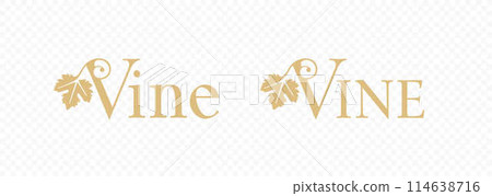 Grapevine with grape leaf vector logo design 114638716