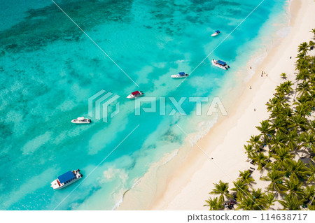 Tropical Caribbean beach from above, Dominican Republic 114638717