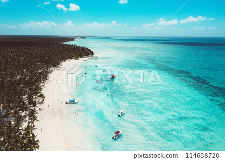 Tropical Caribbean beach from above, Dominican Republic 114638720