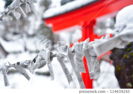 Torii gates and fortune slips at Takaryu Shrine (Niigata Prefecture) Torii gates and fortune slips at Takaryu Shrine (Niigata Prefecture) 114639285