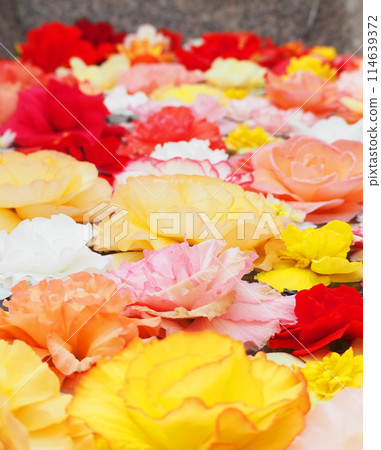 五顏六色的花漂浮在水中 114639372