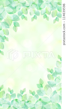 新鮮的綠色幼葉綠框背景材料 114639596