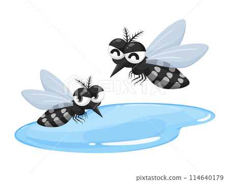 Illustration material of a mosquito thriving in a puddle 114640179