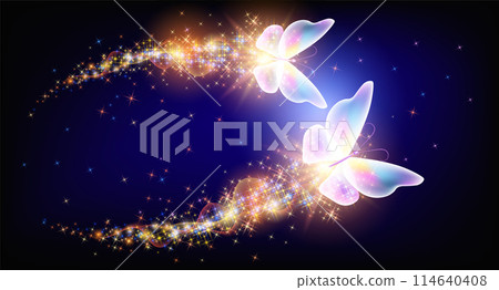 Flying delightful butterflies with sparkle and blazing trail flying in night sky among shiny glowing stars in cosmic space. Love and romance concept. Flying delightful butterflies with sparkle and blazing trail flying in night sky among shiny glowing stars in cosmic space. Love and romance concept. 114640408