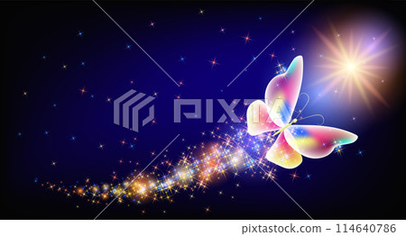 Flying delightful butterfly with sparkle and blazing trail flying in night sky among shiny glowing stars in cosmic space. Animal protection day concept. 114640786