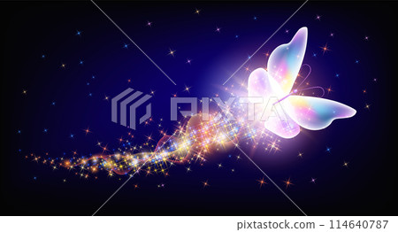 Flying delightful butterfly with sparkle and blazing trail flying in night sky among shiny glowing stars in cosmic space. Animal protection day concept. Flying delightful butterfly with sparkle and blazing trail flying in night sky among shiny glowing stars in cosmic space. Animal protection day concept. 114640787