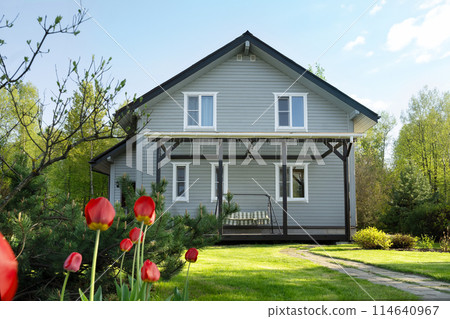 Cottagecore contemporary two-story house of timber in countryside in spring with tulips. Russian dacha in Moscow region. Backyard and traditional relax gardening. 114640967