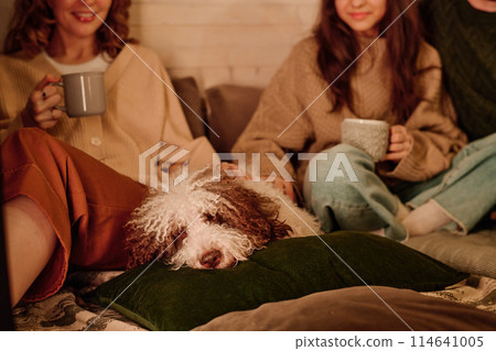 Selective focus of mother and daughter petting their sleepy lagotto romagnolo dog while relaxing in evening at home, copy space 114641005