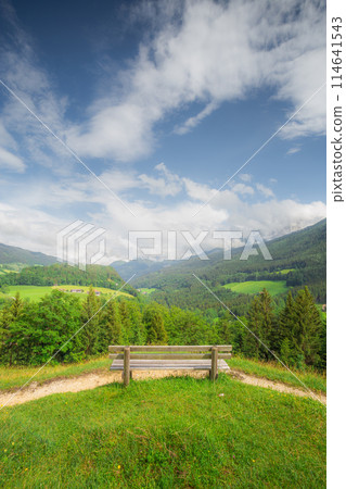 Meadow with road in Berchtesgaden National Park Meadow with road in Berchtesgaden National Park 114641543