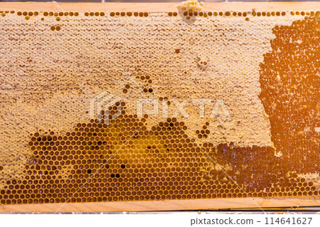 Beautiful honeycombs with honey close-up. Beekeeping, healthy food. Beautiful honeycombs with honey close-up. Beekeeping, healthy food. 114641627